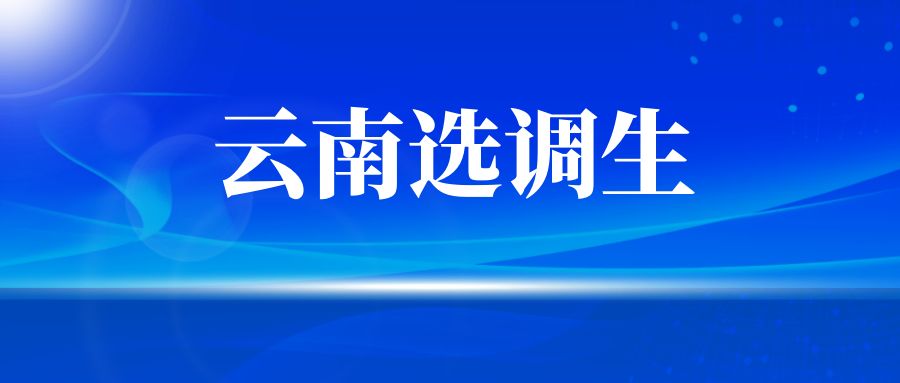 2025年云南省面向选定高校招录优秀毕业生笔试成绩查询通知