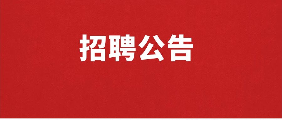 2025年临沧市文化馆（临沧市民族歌舞团）公益性岗位招聘公告